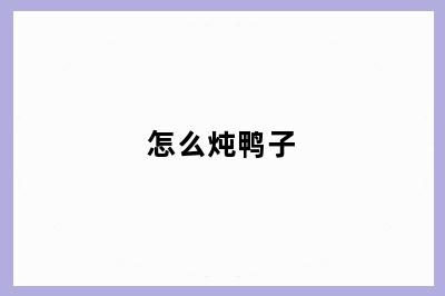 怎么炖鸭子