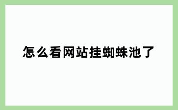 怎么看网站挂蜘蛛池了
