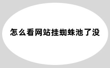 怎么看网站挂蜘蛛池了没