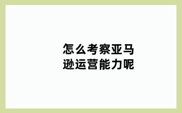 怎么考察亚马逊运营能力呢