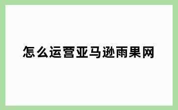 怎么运营亚马逊雨果网