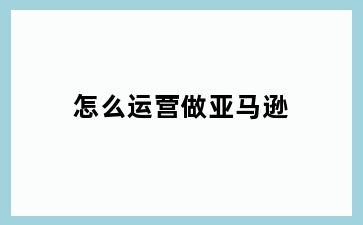 怎么运营做亚马逊