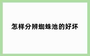 怎样分辨蜘蛛池的好坏