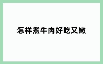 怎样煮牛肉好吃又嫩