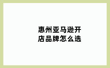 惠州亚马逊开店品牌怎么选