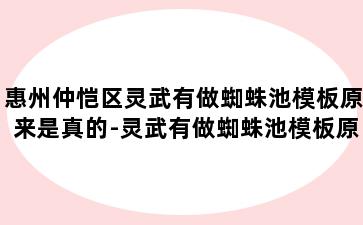 惠州仲恺区灵武有做蜘蛛池模板原来是真的-灵武有做蜘蛛池模板原来是真的