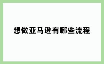 想做亚马逊有哪些流程
