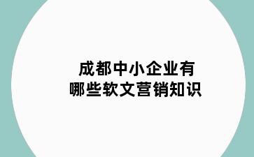 成都中小企业有哪些软文营销知识