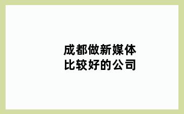 成都做新媒体比较好的公司