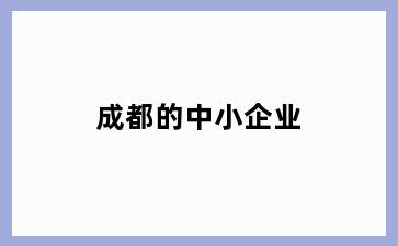成都的中小企业