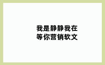 我是静静我在等你营销软文