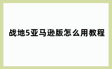 战地5亚马逊版怎么用教程