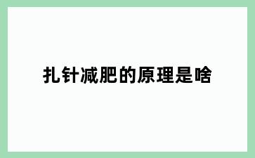 扎针减肥的原理是啥