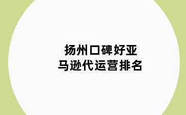 扬州口碑好亚马逊代运营排名