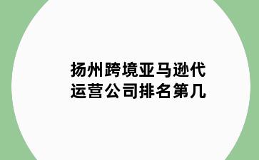 扬州跨境亚马逊代运营公司排名第几