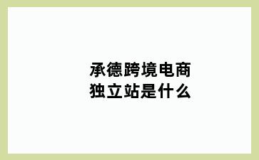 承德跨境电商独立站是什么