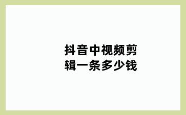 抖音中视频剪辑一条多少钱