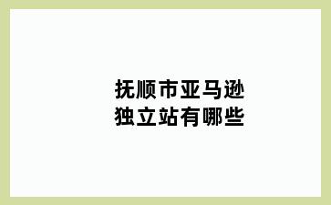抚顺市亚马逊独立站有哪些