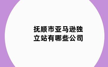 抚顺市亚马逊独立站有哪些公司