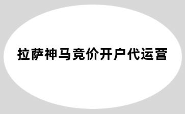 拉萨神马竞价开户代运营