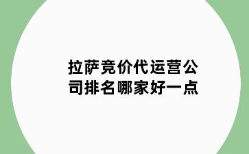 拉萨竞价代运营公司排名哪家好一点