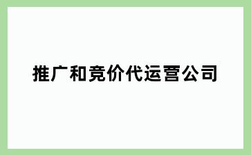 推广和竞价代运营公司