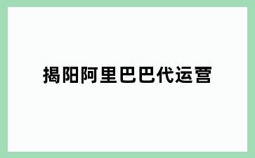 揭阳阿里巴巴代运营