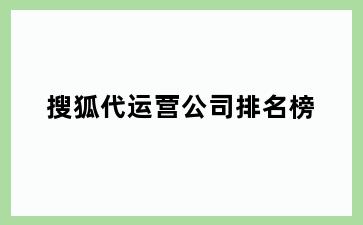 搜狐代运营公司排名榜