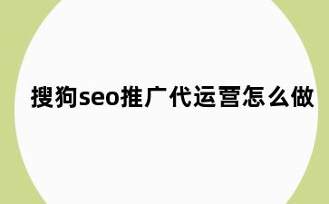 搜狗seo推广代运营怎么做