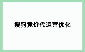 搜狗竞价代运营优化