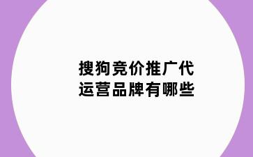 搜狗竞价推广代运营品牌有哪些