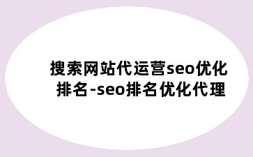 搜索网站代运营seo优化排名-seo排名优化代理