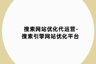 搜索网站优化代运营-搜索引擎网站优化平台