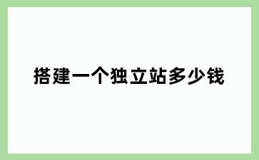 搭建一个独立站多少钱