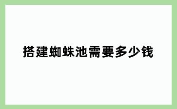 搭建蜘蛛池需要多少钱