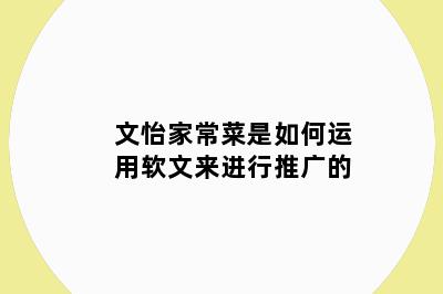 文怡家常菜是如何运用软文来进行推广的