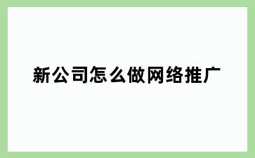 新公司怎么做网络推广