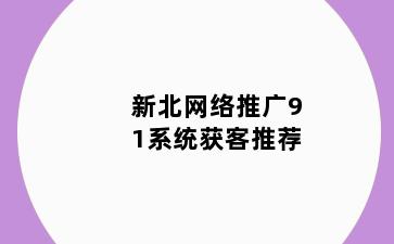 新北网络推广91系统获客推荐