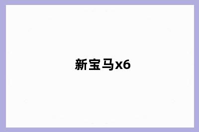 新宝马x6