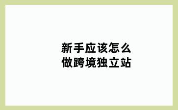新手应该怎么做跨境独立站