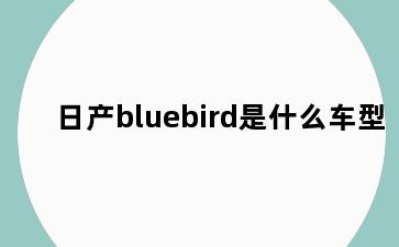 日产bluebird是什么车型