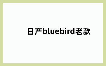 日产bluebird老款