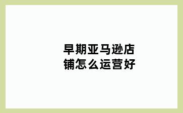 早期亚马逊店铺怎么运营好