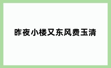 昨夜小楼又东风费玉清