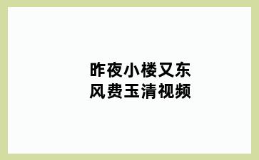 昨夜小楼又东风费玉清视频