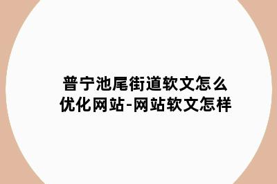 普宁池尾街道软文怎么优化网站-网站软文怎样