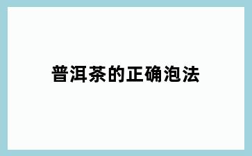 普洱茶的正确泡法