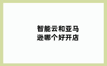 智能云和亚马逊哪个好开店
