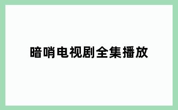 暗哨电视剧全集播放