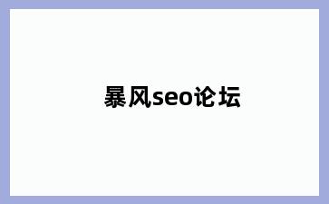 暴风seo论坛